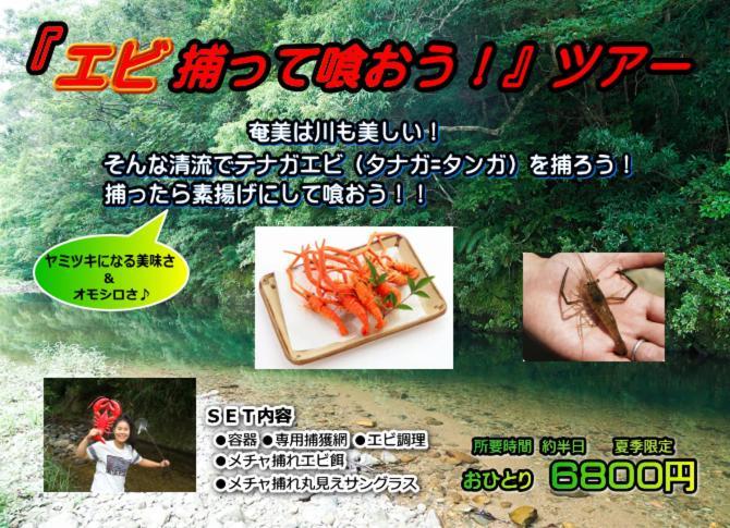 奄美ゲストハウス＆レンタルバイク『昭和荘』 瀬戸内町 エクステリア 写真