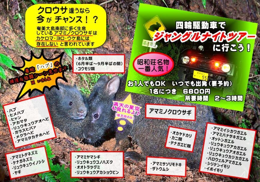 奄美ゲストハウス＆レンタルバイク『昭和荘』 瀬戸内町 エクステリア 写真